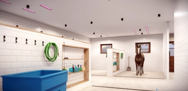 Pferdewaschplatz und Solarium Pferdewaschplatz und Solarium